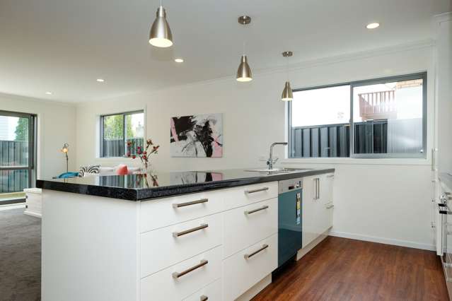 43a Duncan Street Dunedin Central_4