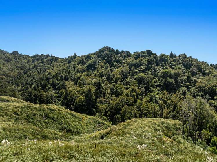 Gaskill Road Tirohanga_8