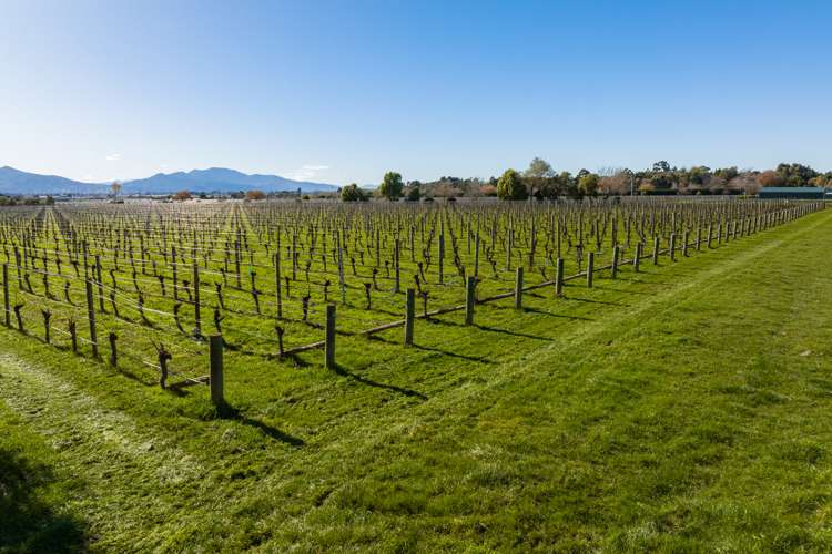 35 Bests Road Fairhall_15