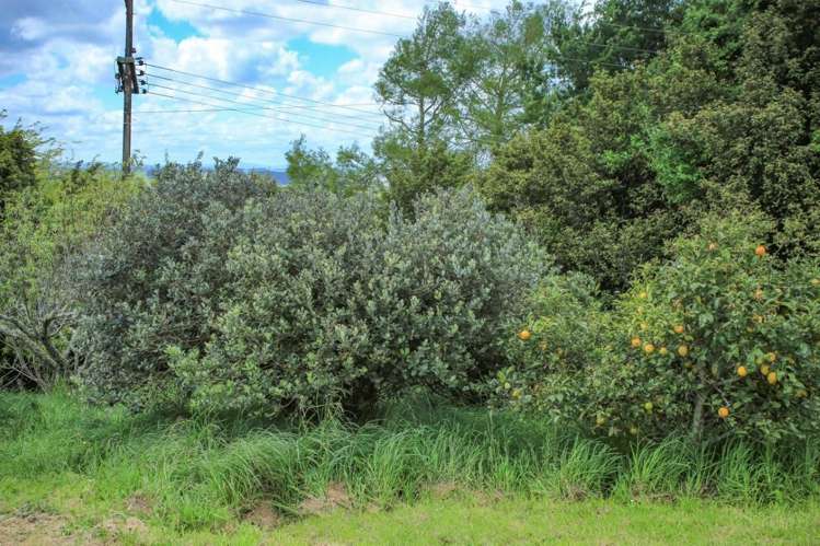 121 Bain Road Ruawaro_7