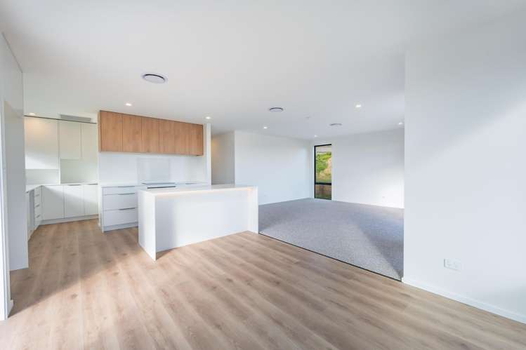 9 Mahara Place Maori Hill_7