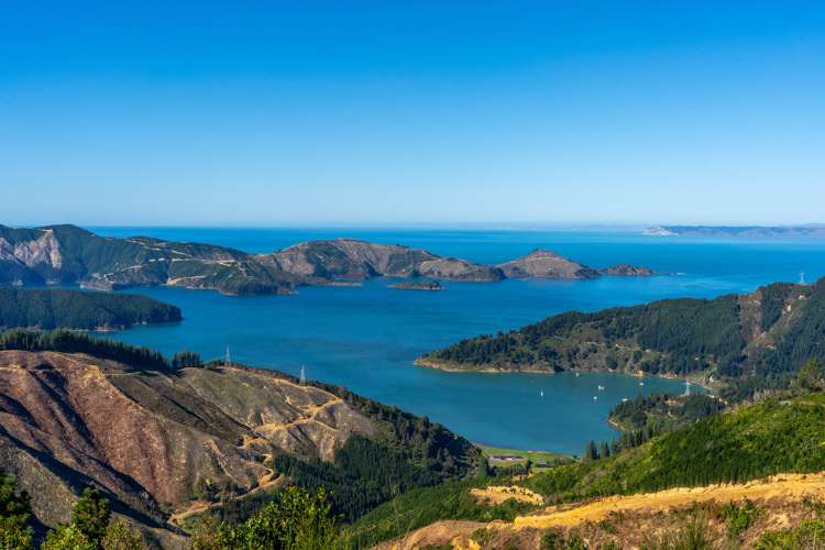 23 Te Tio Terrace Port Underwood_3