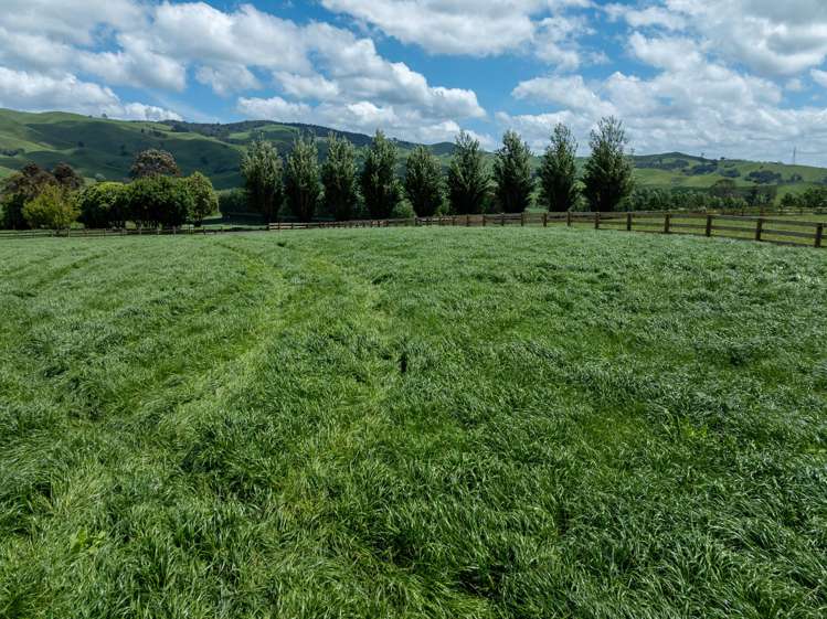 117 Manion Lane Morrinsville_12