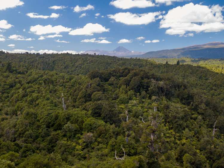 552b Cuff Road National Park_5