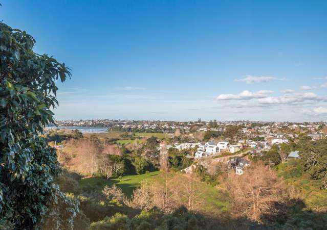 3a Laxon Terrace Remuera_1