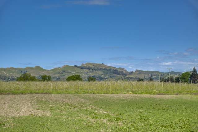 St Georges Road (Lot 4 DP 20205) Havelock North_4