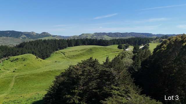 Lot 3 and 7/1005 Rangitatau East Road Kai Iwi_4