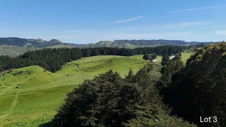 Lot 3 and 7/1005 Rangitatau East Road Kai Iwi_4