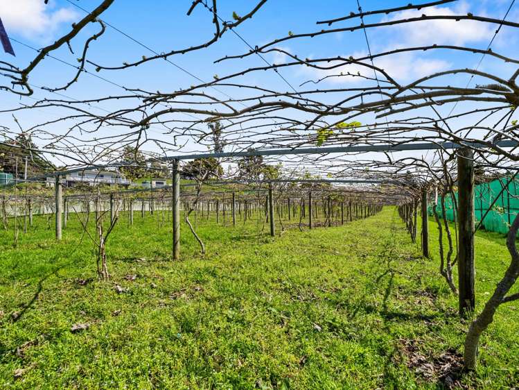 84B Kaiwha Road Welcome Bay_34