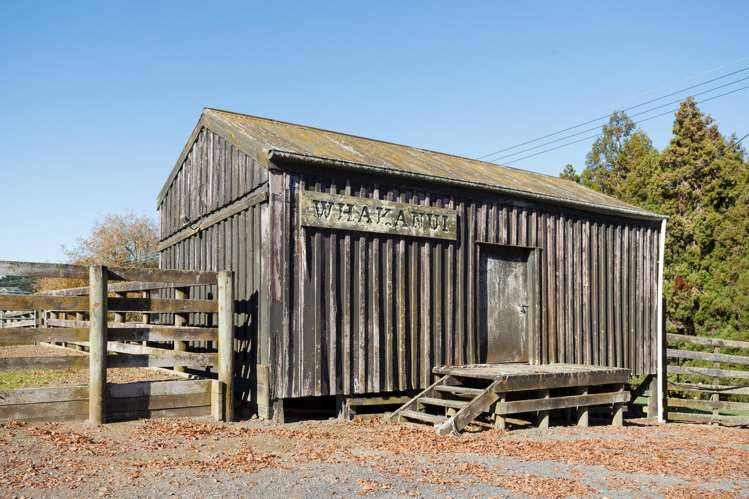 24 Waterworks Road Morrinsville_29