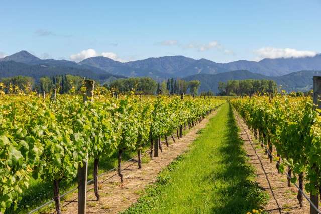 263 Chaytors Road Spring Creek_1