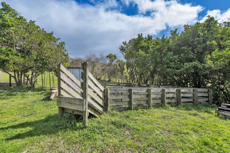 134 Phillips Road Kaiwaka_36
