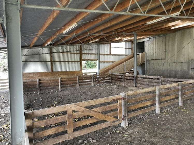 2829 Puketitiri Road Patoka_15