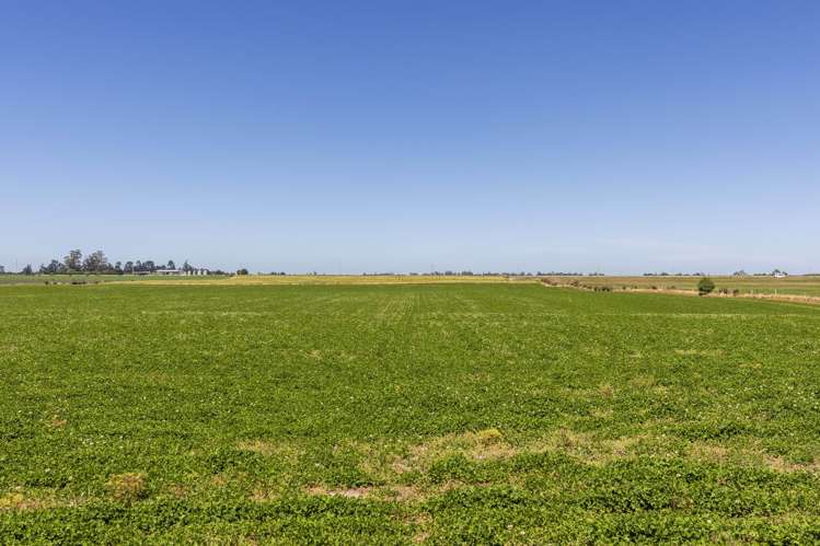 2217 Old West Coast Road Kirwee_17