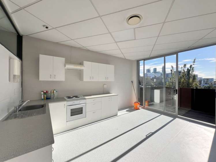 28 Heather Street Parnell_6