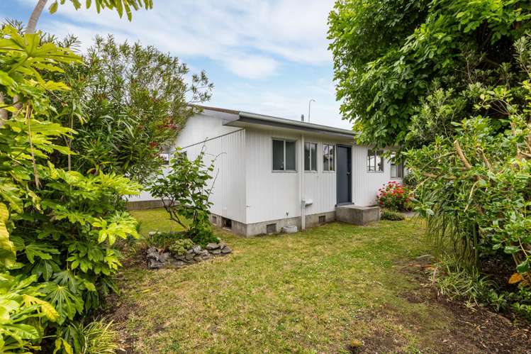 3/173 Vigor Brown Street Napier South_11