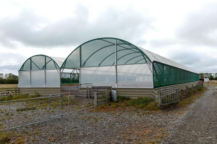 134 Longbeach Road Willowby_17