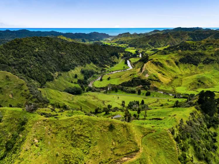 544 Mohakatino Road Mokau_37