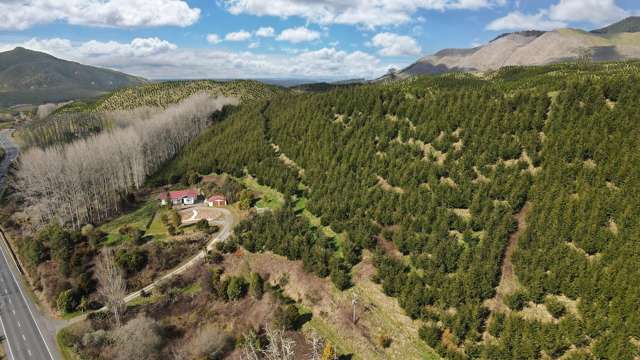 1886A State Highway 5 Waimangu_1