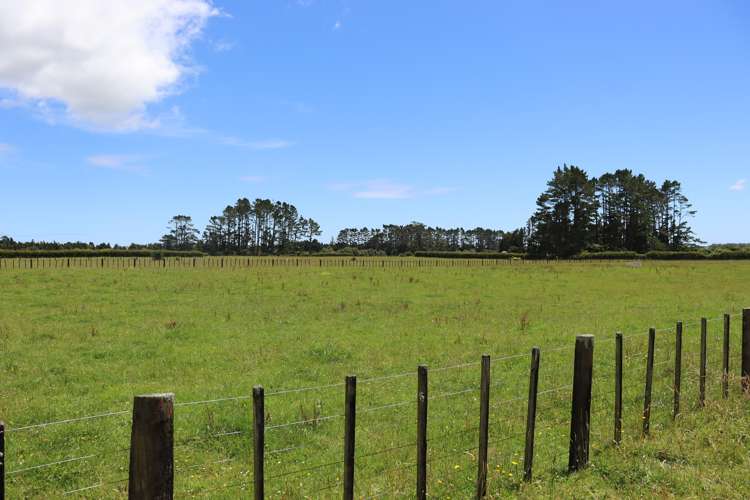 50 Bedford Road North Inglewood_8