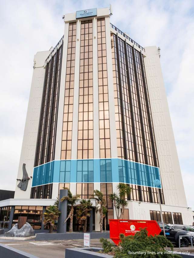65 Rangitikei Street City Centre_1