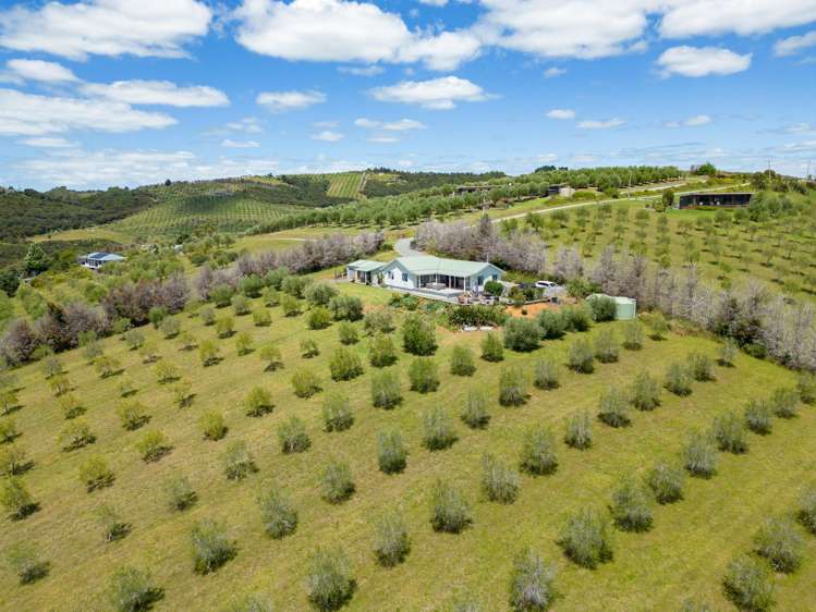 125A Frantoio Ridge Road Mangonui_34
