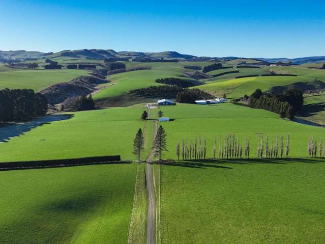 125B Davidson Road Mimihau_4