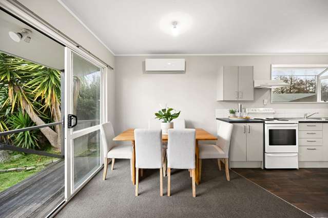 20b Lloyd Drive Nawton_4