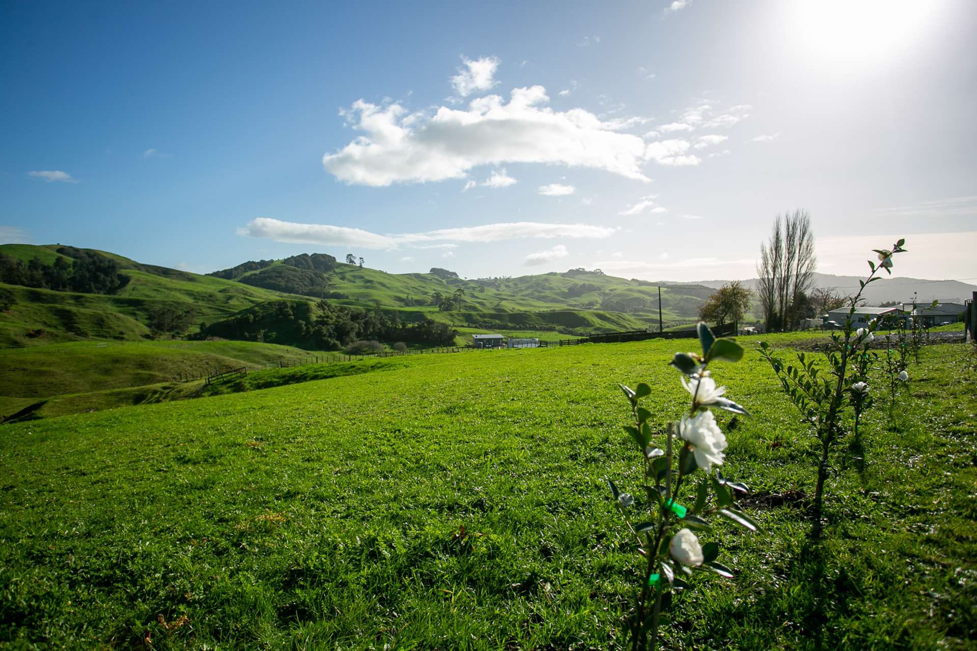 Lot 1/1378 Buckland Road Cambridge_0