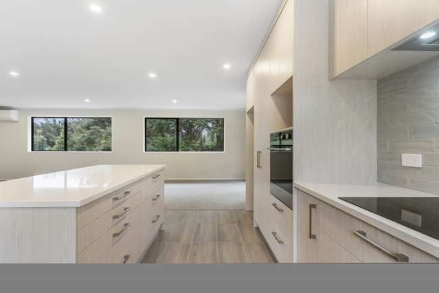 115 Elsinore Close Whangamata_3