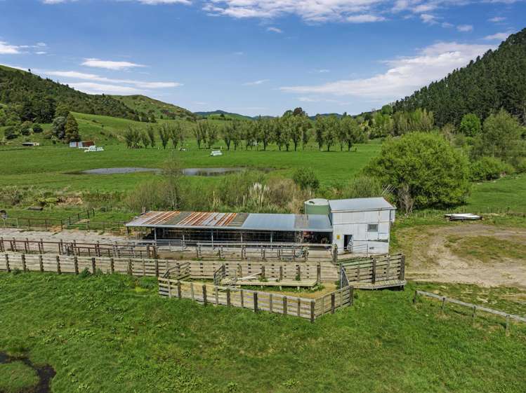 2338 State Highway 2 Opotiki_20