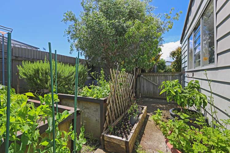 38 Spriggs Crescent Greenmeadows_5