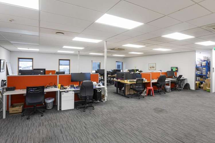 23 Carlyle Street Sydenham_11