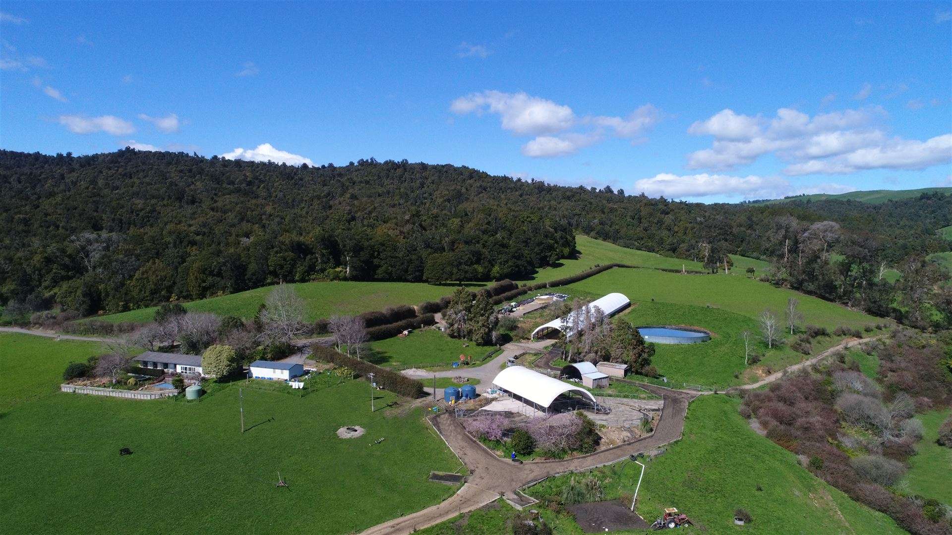 969 Piakonui Road Richmond Downs_0