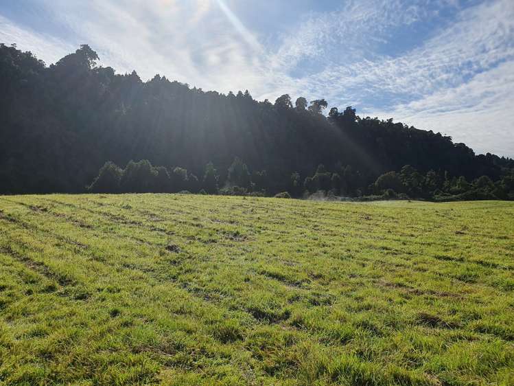 Blue Spur Road Hokitika_9