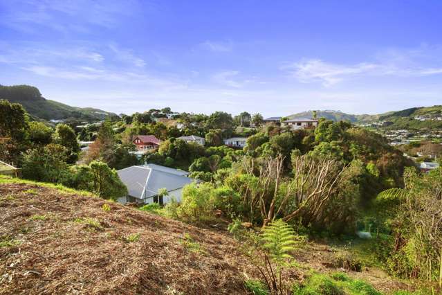 58D Lincoln Avenue Tawa_1