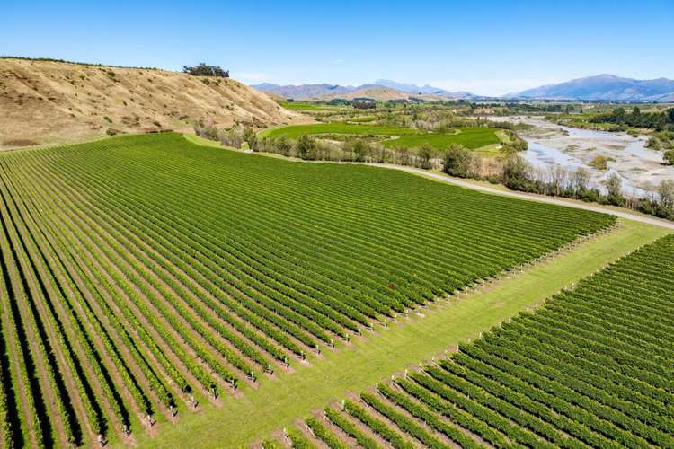 Seaview Road Seddon_7