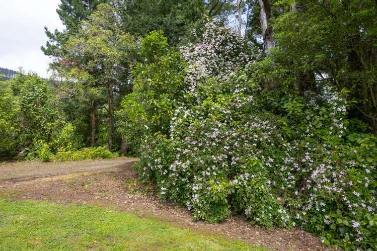 403 Scotts Road Linton_23