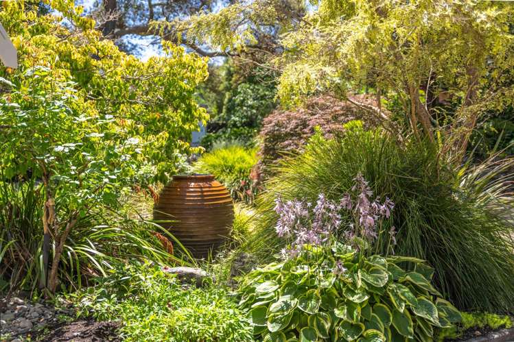 34 Horopito Road Waikanae_31