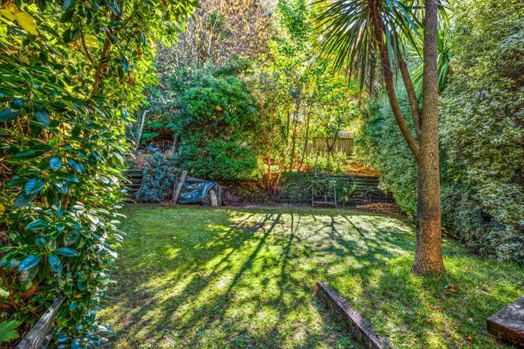 6b Williams Street Fernhill/Sunshine Bay_16