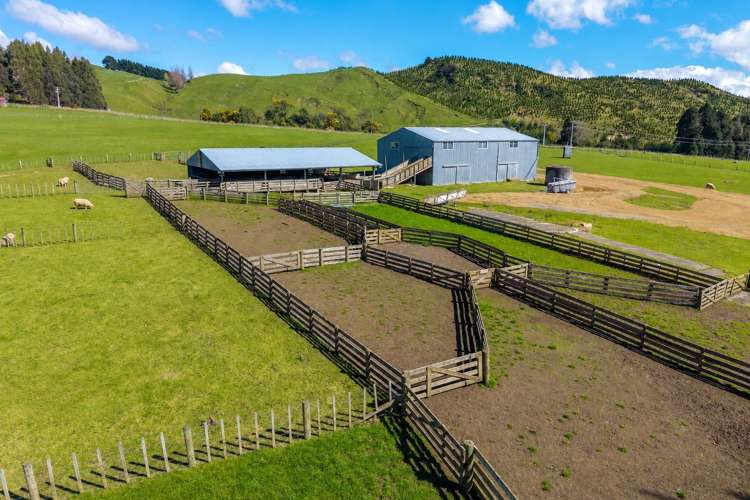 558 Pukeatua Road Dannevirke_6