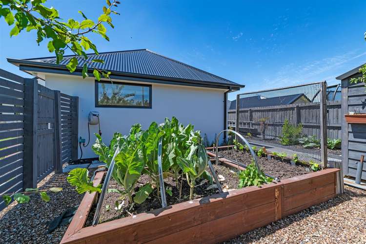 65 Southfield Drive Lincoln_24