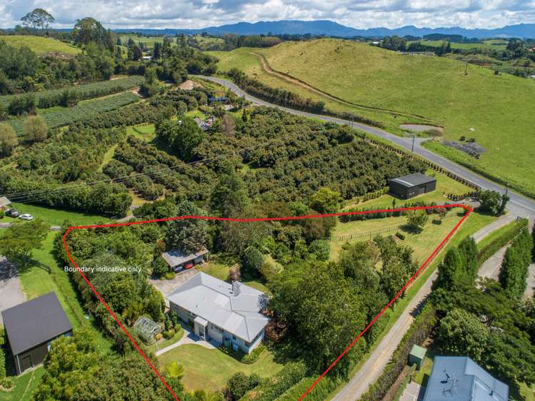 29 Whakamarama Road Whakamarama_27
