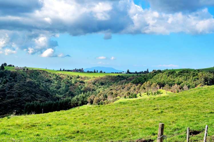 550 Moir Hill Road Warkworth_10