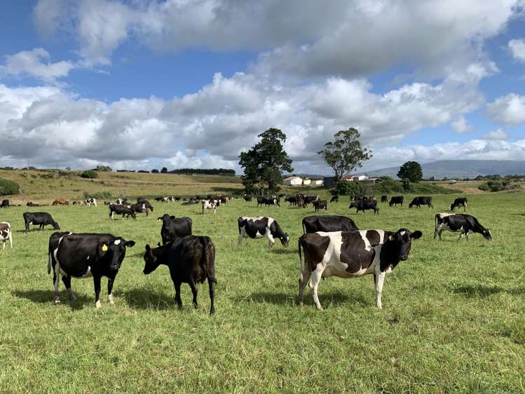 80922 State Highway 2 Pahiatua_24