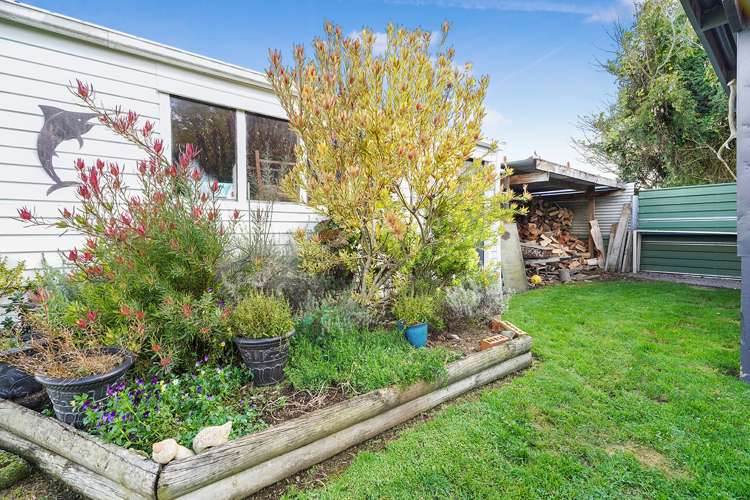 24 Enfield Street Nawton_20