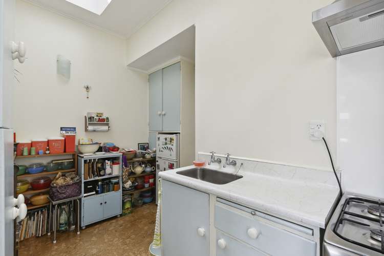 66 Elizabeth Street Mount Victoria_18