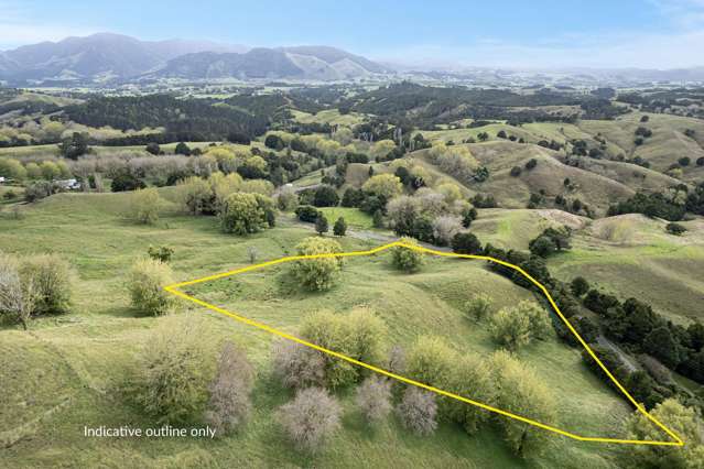 Kirikopuni Road Parakao_3