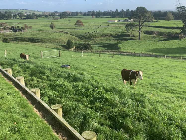 141 Te Tuhi Road Okauia_21