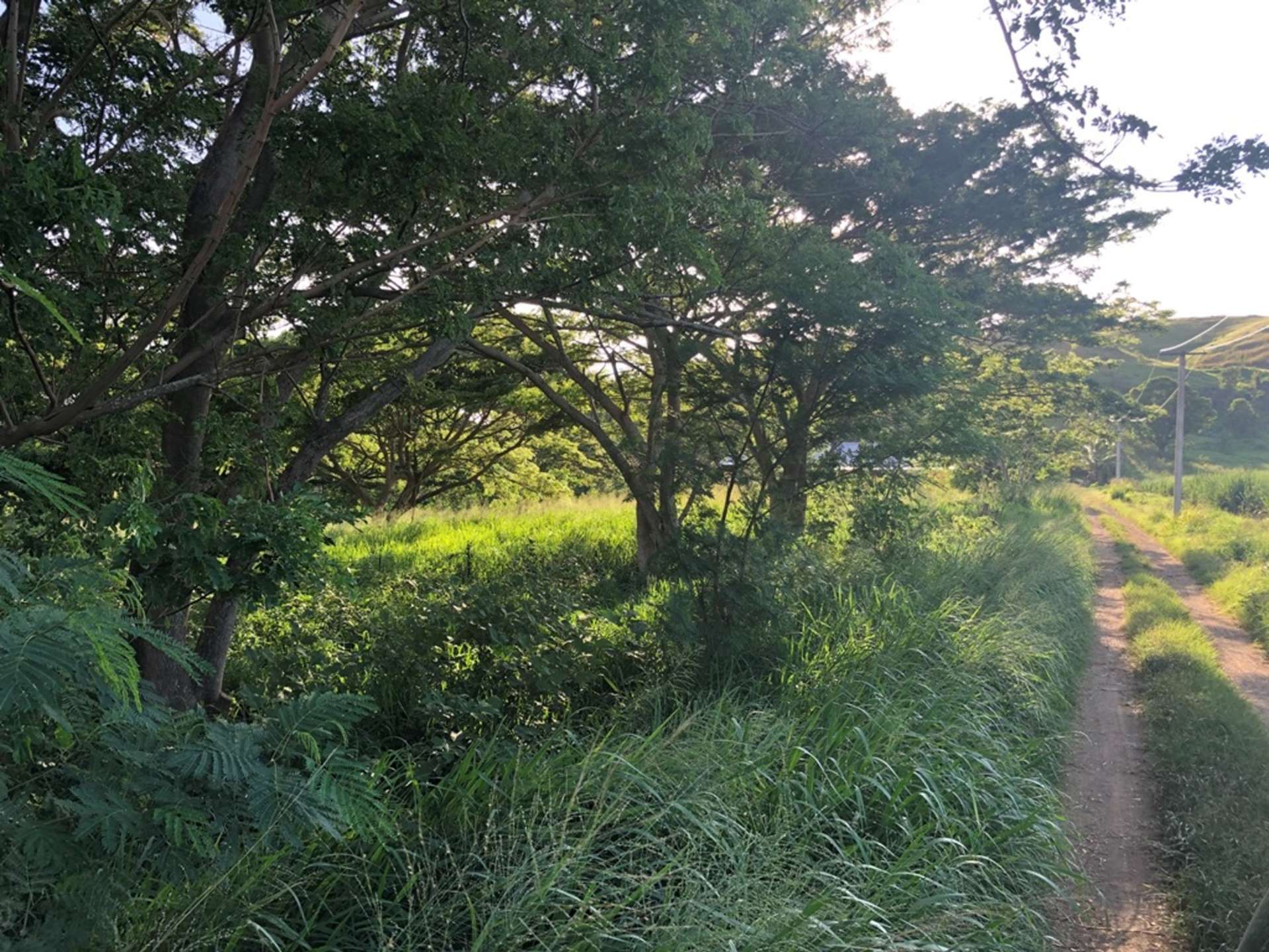 Address withheld Nadi_0